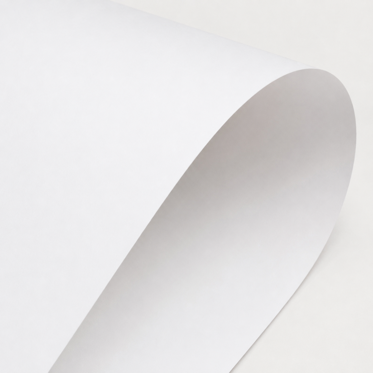 Frischfaserpapier